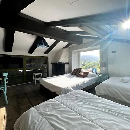 Casa Del Sauce - En La Montana Cerca Del Mar